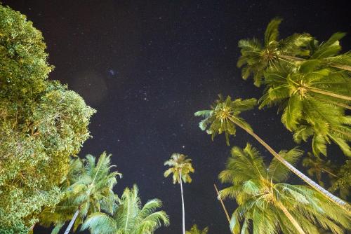 1511椰林木屋 1511椰林木屋