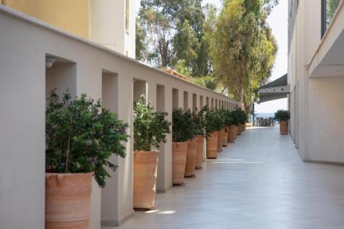 Harmony Bay Hotel - image 3