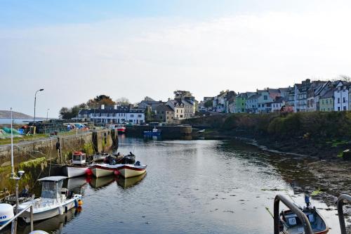Cottage 170 - Roundstone - image 14