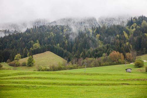 Chalet-Pfronten