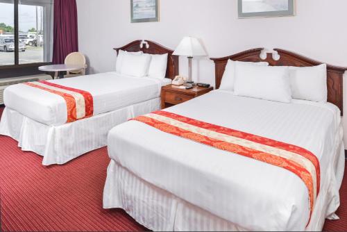 Motel Zuma – Williamsburg, VA