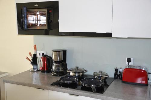 Apartament Srebrny z garażem