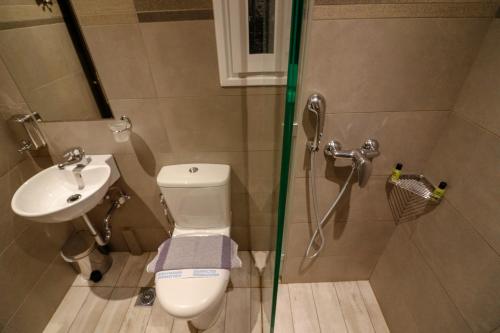 Mansion Hotel - image 12