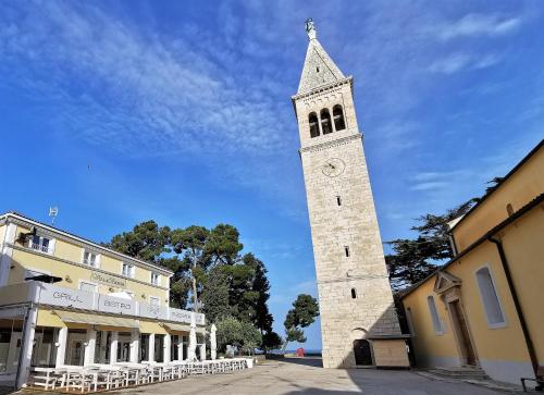  Villa Bionda in Novigrad