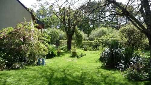 Le Jardin aux Oiseaux - Chambre d'hôtes - Férel