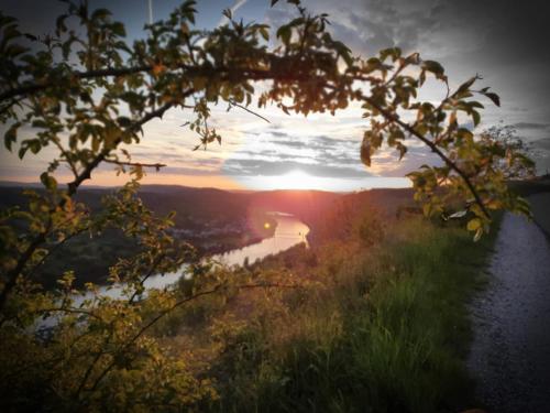 Apartment an der Mosel 1