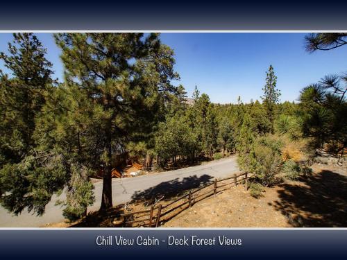 Chill View Cabin - image 2