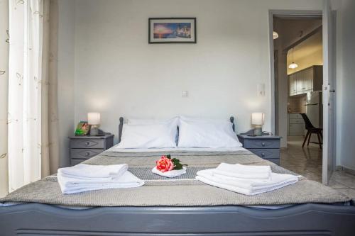  Tsilivi Blue Vista Apartment in Planos