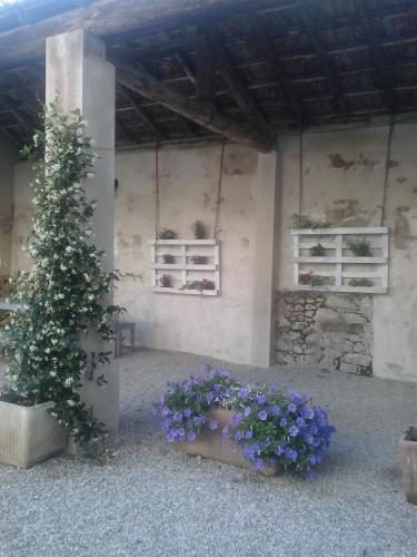 La Casa Bianca 3