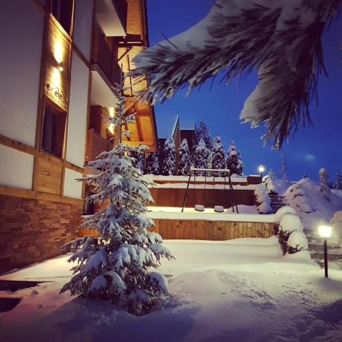 Villa Natural Wood - image 2