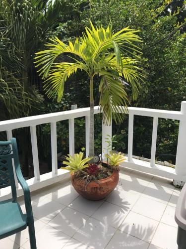 San Andres Ultd Inn RNT # 30017 – San Andres Island, NM