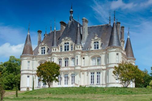 Chateau Marieville - Chambre d'hôtes - Bonneuil-Matours