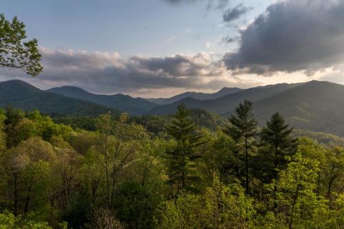 4 Bed 4 Bath Vacation home in Sylva I in Sylva, USA