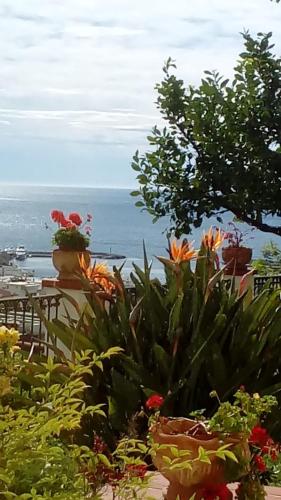La Casa Del Sole, Sanremo