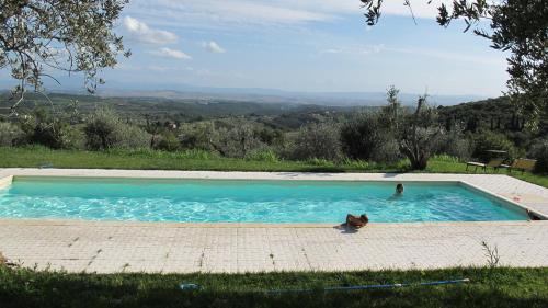 La Casaccia Guelfi