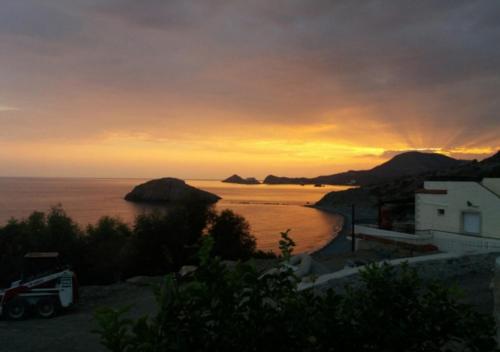 Porto lassea