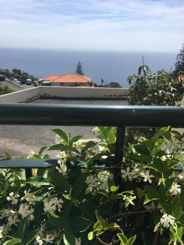  Sunshine Room in São Pedro