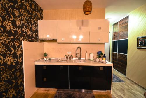 مطبخ, Apartment Godfather in Rozino