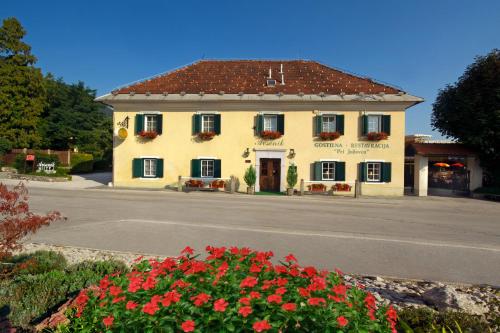 Guesthouse Avsenik