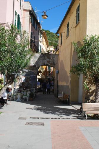 Monterosso Garden House Studio