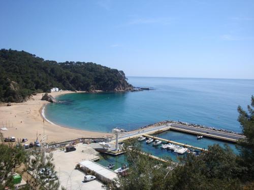 La gaviota