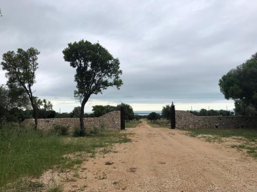 Tenuta De Luca in San Nicandro Garganico