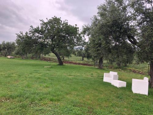 Tenuta De Luca in San Nicandro Garganico