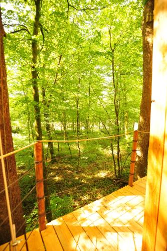 Cabanes Espace Fouletot - 전망