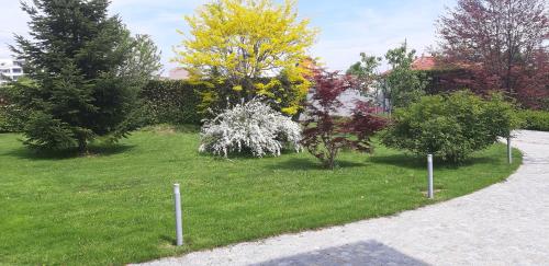 CHIARA, Cuneo (foto 3)