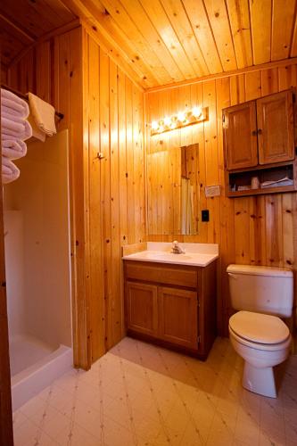 Teton Valley Cabins - 화장실