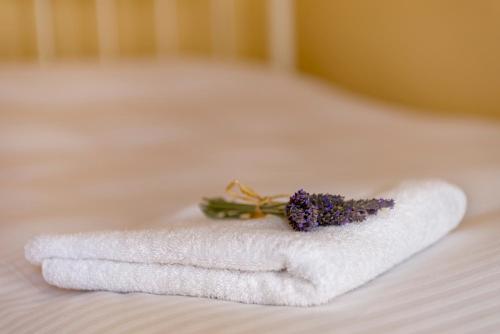 Island of Luxury Apartments - image 5