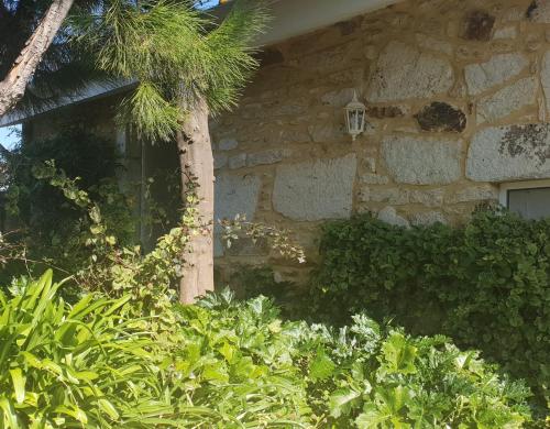 Casa de Campo - Olive House