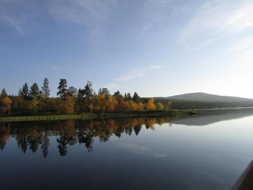 Lemmenjoen Lumo - Nature Experience & Accommodation - image 12
