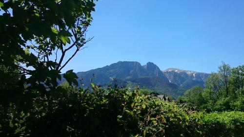 MSC Apartments Honeymoon, Zakopane