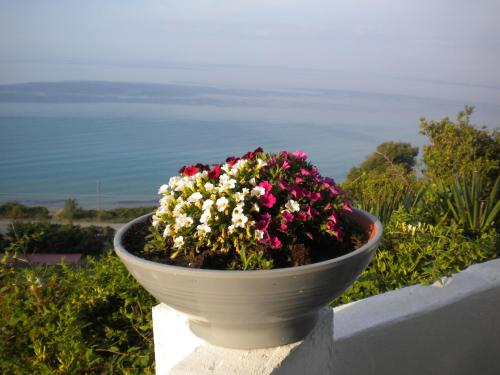 Villa Olga studios - image 6