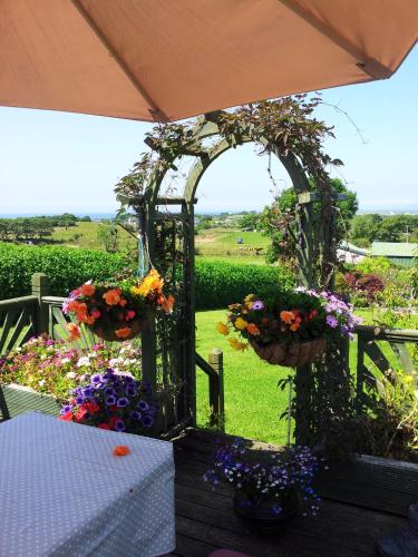 Garden, Mount Edward Lodge in Other
