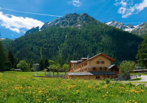 Villa Fridau resort - Accommodation - Gressoney-Saint-Jean