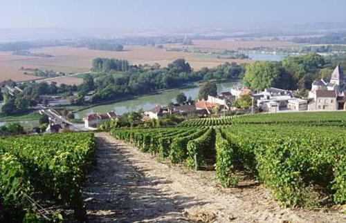 Le Clos Corbier - image 2