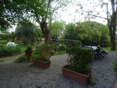 Le Mimose B&B - image 2