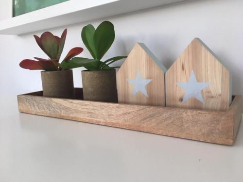 Apartamento modeno e acolhedor com terraco