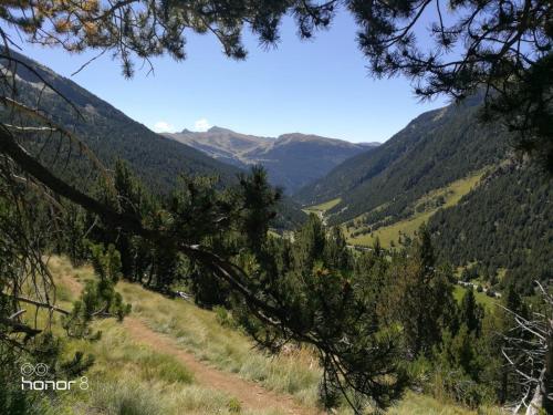 Tarter Confort Hut 5065 Tarter Confort Hut 5065