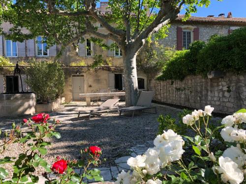 Domaine du Mas Foucray - image 8