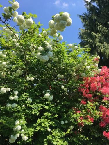 Les jardins de Beaumont