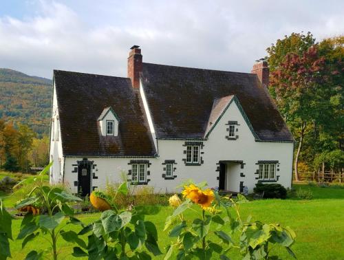 Georgian Garden