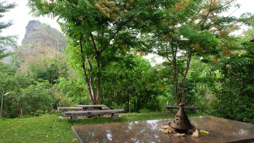 %name ผักกูดฮาบิแทท ทองผาภูมิ (กาญจนบุรี)