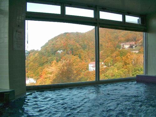 志賀高原発哺温泉 岩菅ホテル
