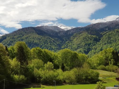 Hotel Gasperin Bohinj - image 10