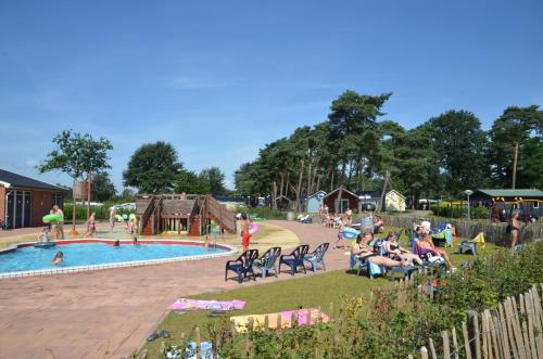 Swimming pool, Lodge 6 personen camping de Molenhof in Reutum