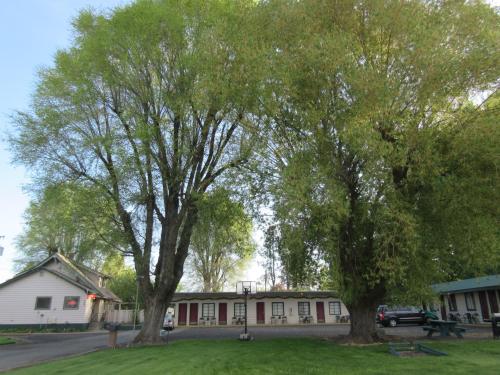 The Willows Motel in Hartline