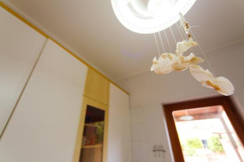 Two-Bedroom Apartment image 4